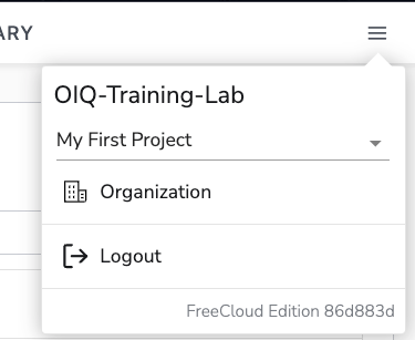 Bindplane Cloud Org View